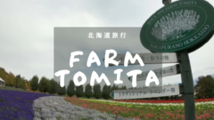 北海道旅行No.3　FARM TOMITAのアイキャッチ画像