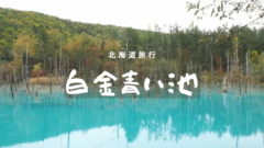 北海道旅行No.4 白金青い池のアイキャッチ画像
