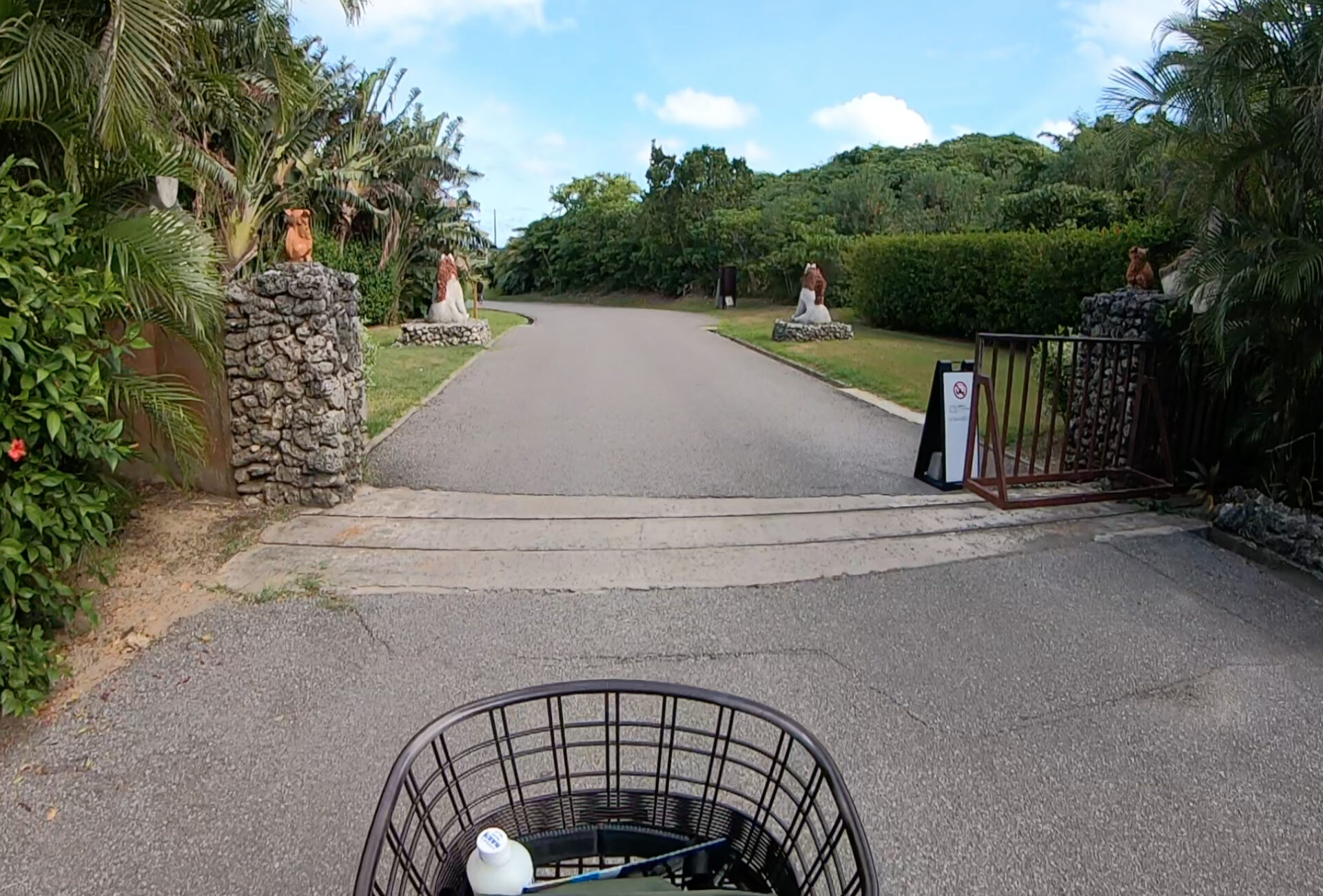 電動自転車で小浜島を観光している途中の道