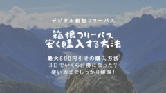 箱根フリーパスを安く買う方法！お得な割引情報まとめ！のアイキャッチ画像