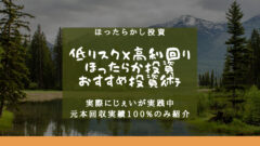 薬剤師のほったらかし投資術！低リスクで年利６％超えを実践中！のアイキャッチ画像