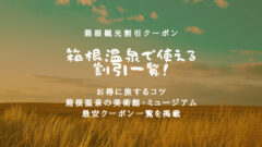 【最新最安】箱根観光で使える割引券!箱根の美術館に格安入場!!のアイキャッチ画像