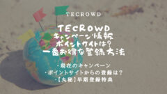 TECROWDのキャンペーン情報!一番お得な登録方法はこれ!のアイキャッチ画像