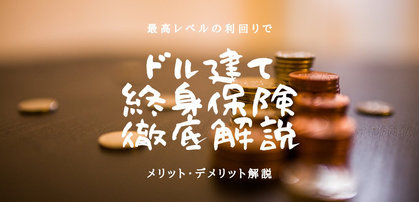 おすすめのドル建て終身保険！ドル建て保険を徹底解説！のアイキャッチ画像