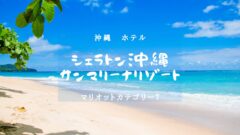 【京都・マリオットカテゴリー７】HOTEL THE MITSUI KYOTOのアイキャッチ画像